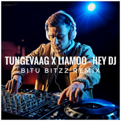 Hey DJ - Tungevaag, Liamoo (Bitu Bitzz Remix)