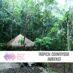 Tropical Countryside Ambience