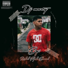 Rebel Fyah Mixtape (Dj Marty)