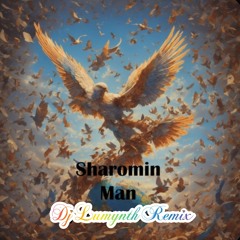 Sharomin - Man ( Lumynth Remix ).mp3