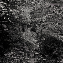 delusion kills creativity