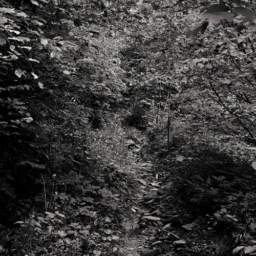 delusion kills creativity