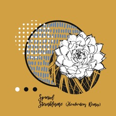 Spaniol - Steinblume (Headwaters Remix) [trndmsk]