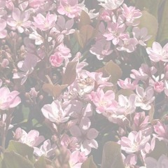 Nande's First Mix