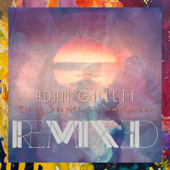 PREMIERE: Adam Gillett — Check Yo Stamina On The Reg (Timo Maas Remix) [Woodland Creatures]