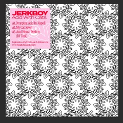 Jerk Boy - Acid House Destiny (DJ Tool)