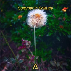 Summer In Solitude