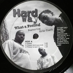 Hard Way | Vibing (1997)