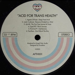 VA - Acid For Trans Health [preview clips]