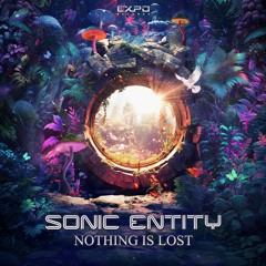 Sonic Entity - Nothing Is Lost (sample)