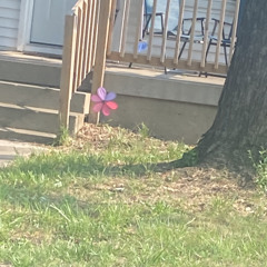 Trenches-Dae Doe.mp3