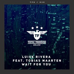 Luisk Rivera Feat. Tobias Maarten - Wait For You