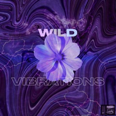 Wild Vibrations [Copyright Free Music]