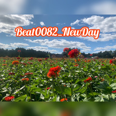 Beat0082 NewDay