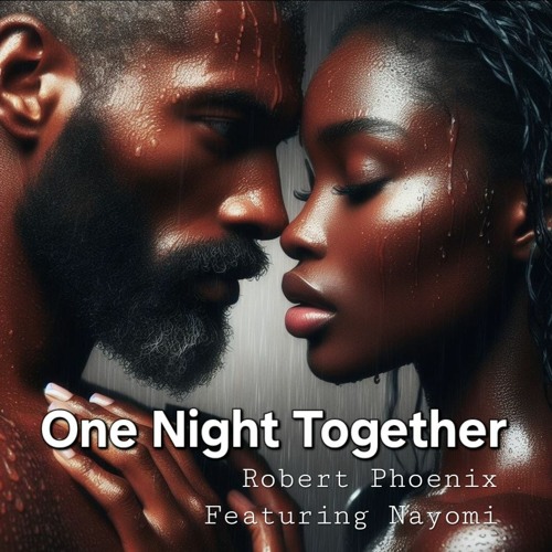 One Night Together Radio Edit - Robert Phoenix Feat Nayomi