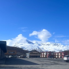 I can stop your tears