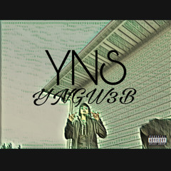 YN$ (YNGMFWEB)