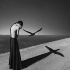 Remix-Searching The Shadows