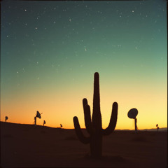 Arizona