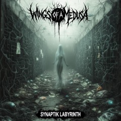 Magna Paranoia