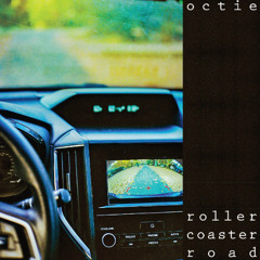 Roller Coaster Road