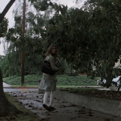 momentum w youngitaly