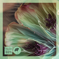 Oxossi (feat. Maitê Inaê)