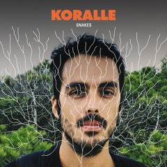 Koralle - Snakes