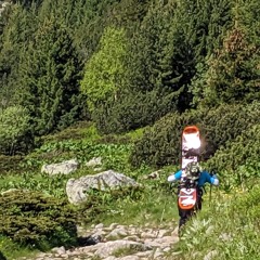 Perdu!