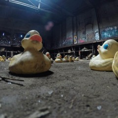 Patito de hule extraviado en el cajón de los calcetines impares