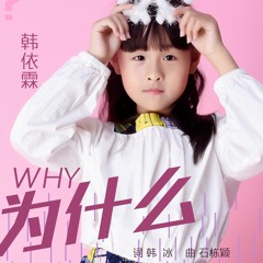WHY 为什么