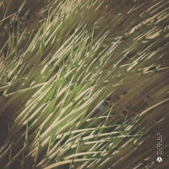 RINZ. x Uevo - Endless Breeze