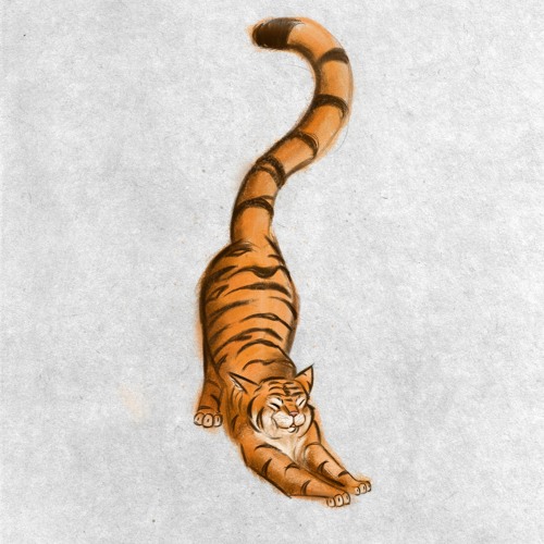 Striped #2 - Nφra