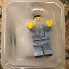 LEGOS IN THE FREEZER