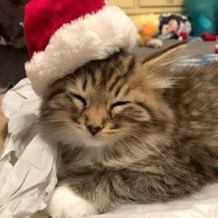 bad habits w/ brinnin (bou & gotchigo) #merrychristmas