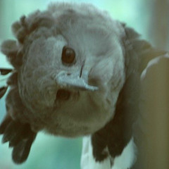 JUMPTEKK (Ultra Slowed)