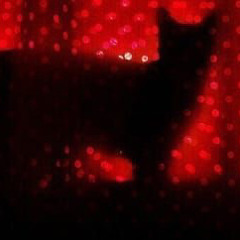 halsey - forever is a long time .