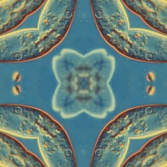 Quantum Sonics - Alex Wolfenden - 7th August 2021