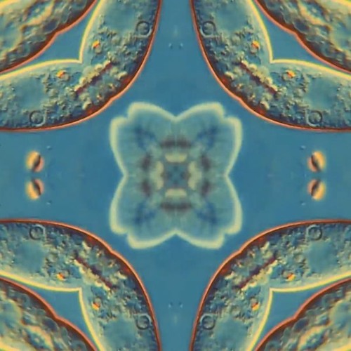 Quantum Sonics - Alex Wolfenden - 7th August 2021