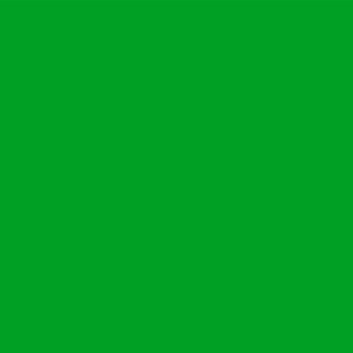 bottega veneta green color code