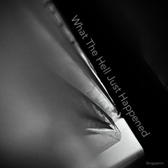 What The Hell Just Happened