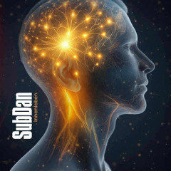 SubDan // Liebesgeflüster // Innenleben LP // Mighty Force