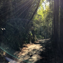 Sunlight & Cold Air '21 12 27