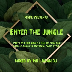 MSPE Presents 'ENTER THE JUNGLE' - Oldskool Jungle