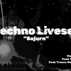 Techno Celebrations of New Beginnings - "Sojurn" DJ Liveset