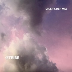 @TRIBE - DR.SPY.DER MIX 2026.aif