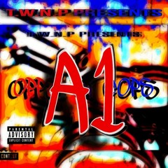 A1
