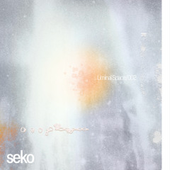 Liminal Space/002 - Seko
