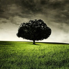 ROCK In FIRE  -  The Oath