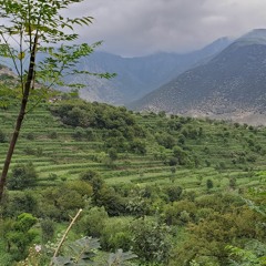 Rasool Khan Mutaqi Pashto Naat Wa Zakhmi Zakhmi Shwo ( Di Taif Waqiaa)